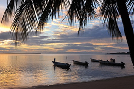 2506 la suriname 1