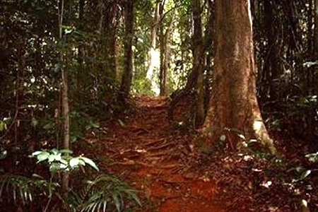2506 la suriname 3