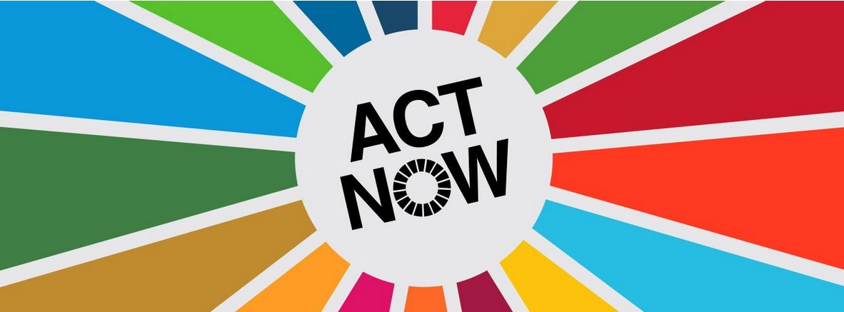 SDGs act now