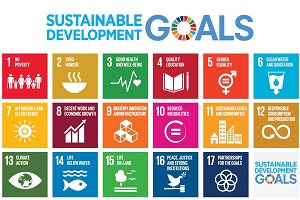 SDG icons